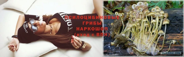 соль ск Балахна