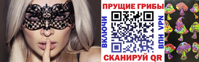 дарк нет Telegram OMG сайт Галлюциногенные грибы Psilocybine cubensis Козельск купить закладку