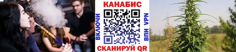 МАРИХУАНА семена Козельск